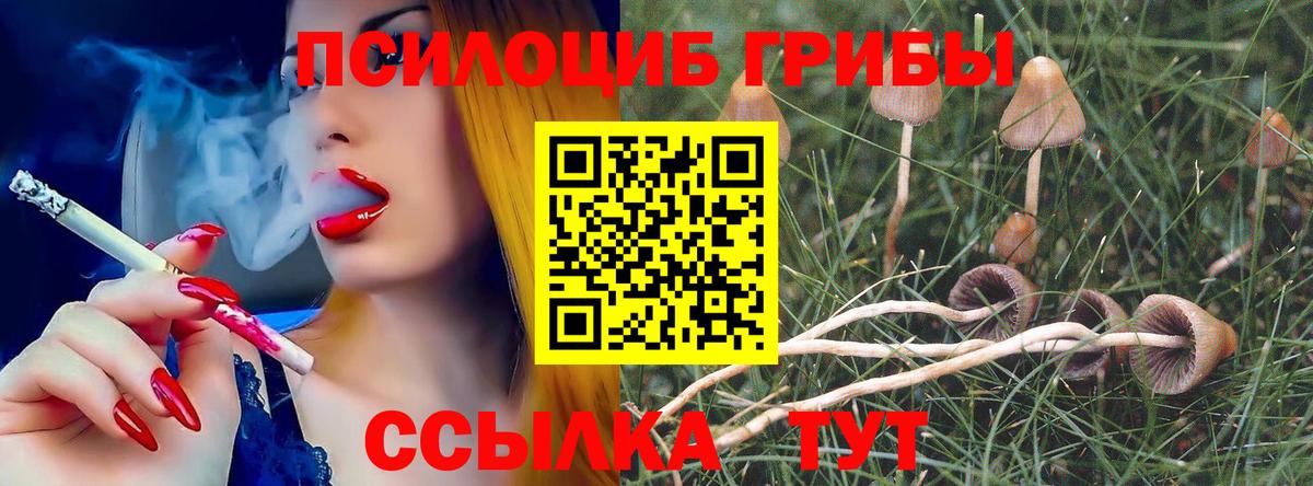 купить наркотики цена  Галлюциногенные грибы GOLDEN TEACHER  Вход с VPN  Кинель  Галлюциногенные грибы Cubensis 